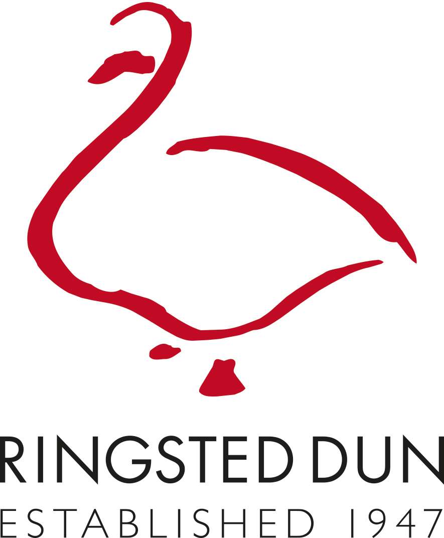 Ringsted Dun